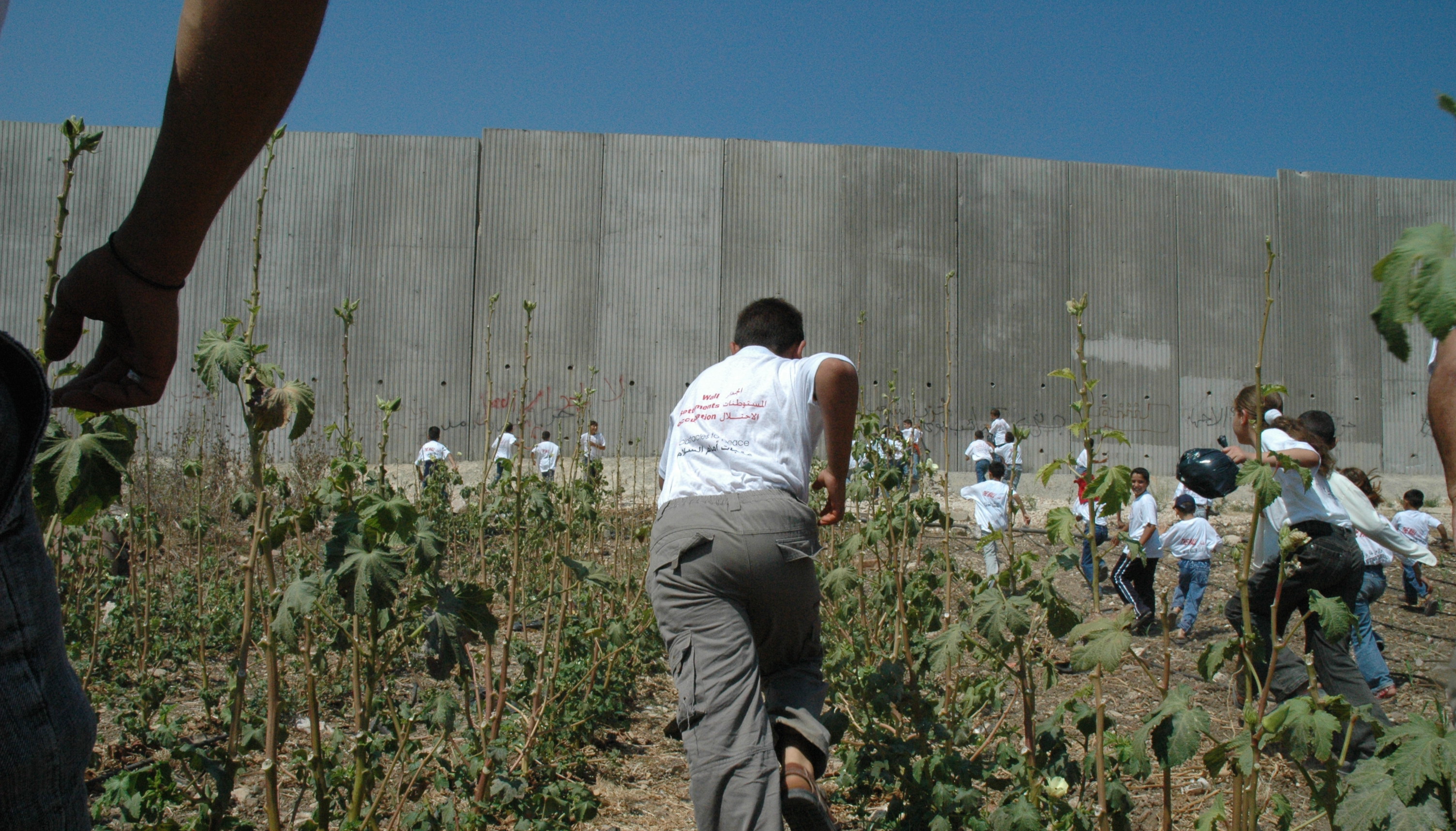 Palestine Wall West Bank