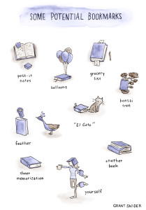Incidental Comics, Grant Snider