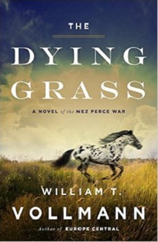 the dying grass