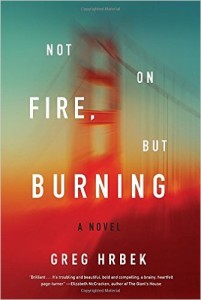 Not on Fire, But Burning by Greg Hrbek