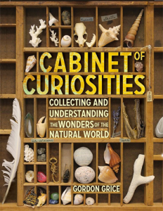 Cabient of Curiosities