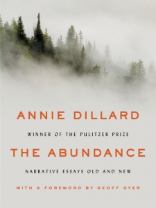 dillard The Abundance