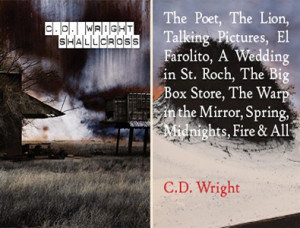 Five Books Making News This Week: Space, C.D. Wright, and Fake Steve ...