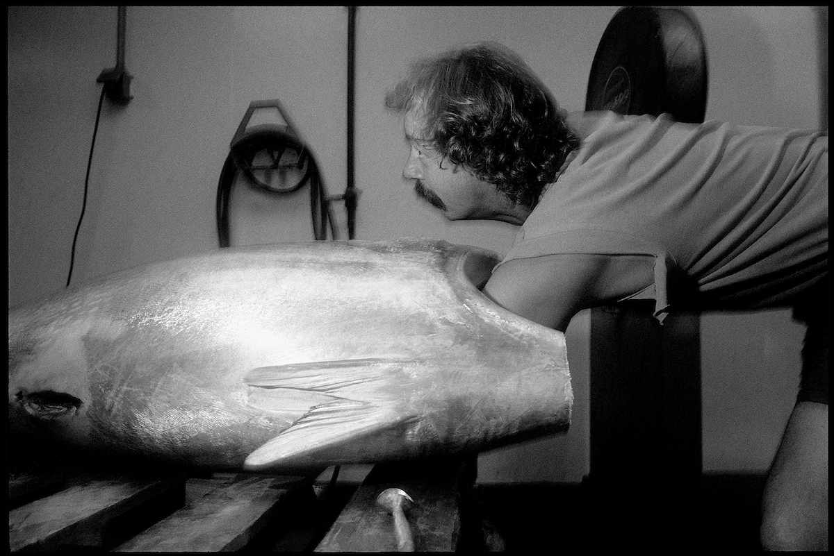 Icing Tuna, Cape Ann Tuna, 1998