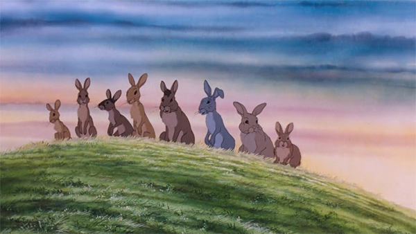 watership down