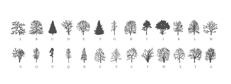 about trees 2