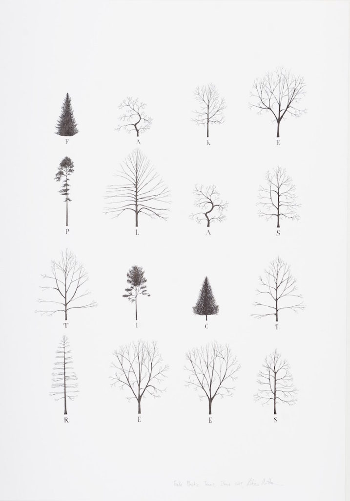 Katie Holten on Turning Words and Paragraphs into Whole Forests ...