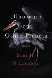 dinosaurs-on-other-planets-stories-by-danielle-mclaughlin-081299843X