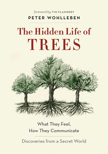 the hidden life of trees