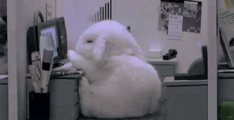 Just a sleepy office-bunny ‹ Literary Hub