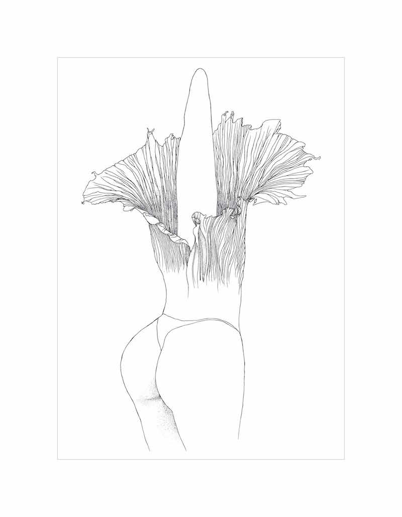 avie's dreams makeda lewis corpse flower