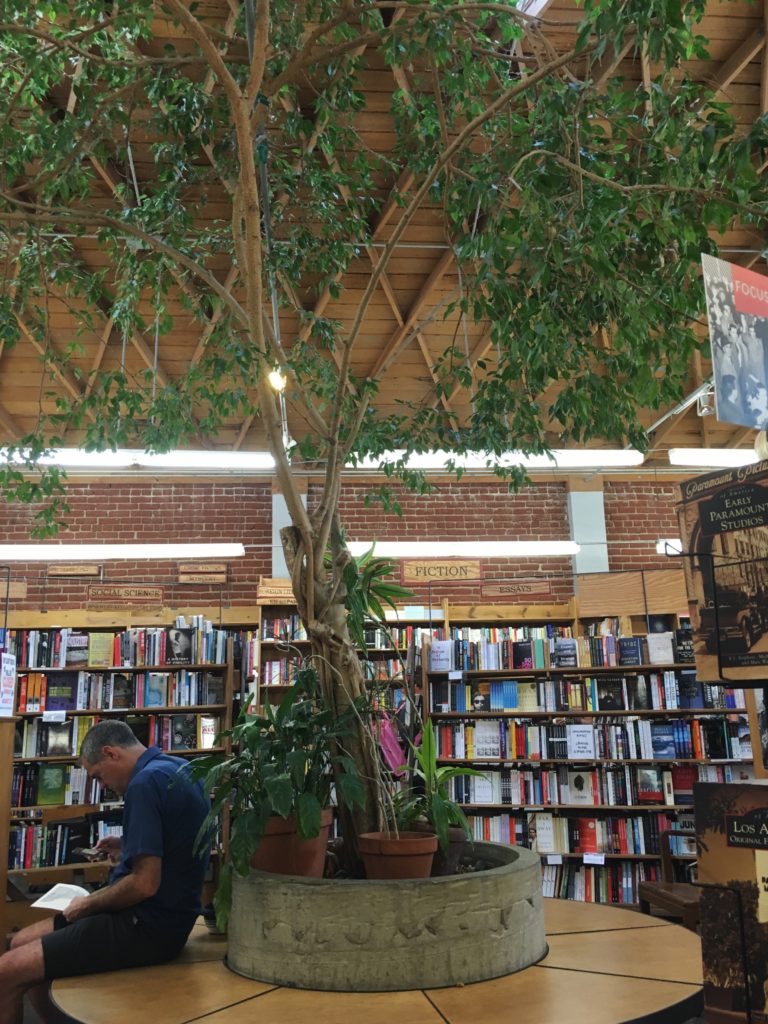 skylight books