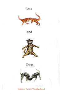 andrew-james-weatherhead-cats-and-dogs