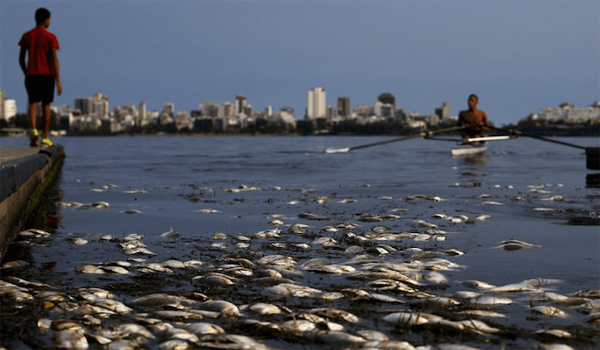 dave-zirin-rio