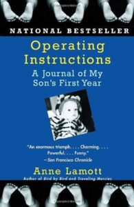 Operating Instructions a Journal of My Son’s First Year by Anne Lamott