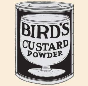 birds-custard