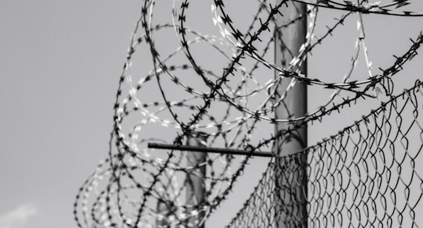 barbed wire