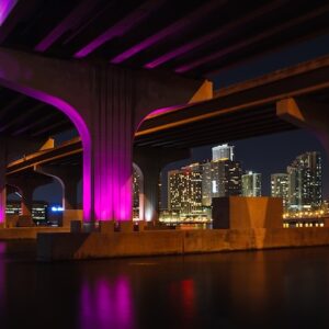 The Wild, Weird Criminal Side of Florida