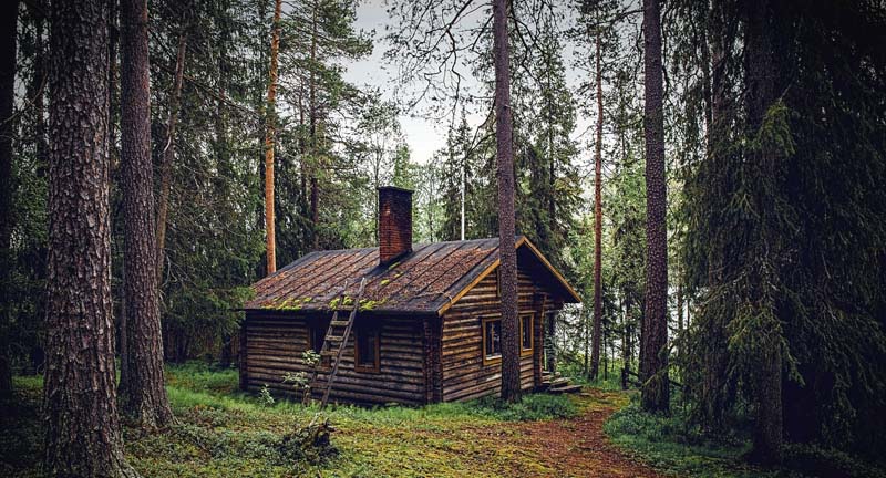 Off grid living in woods