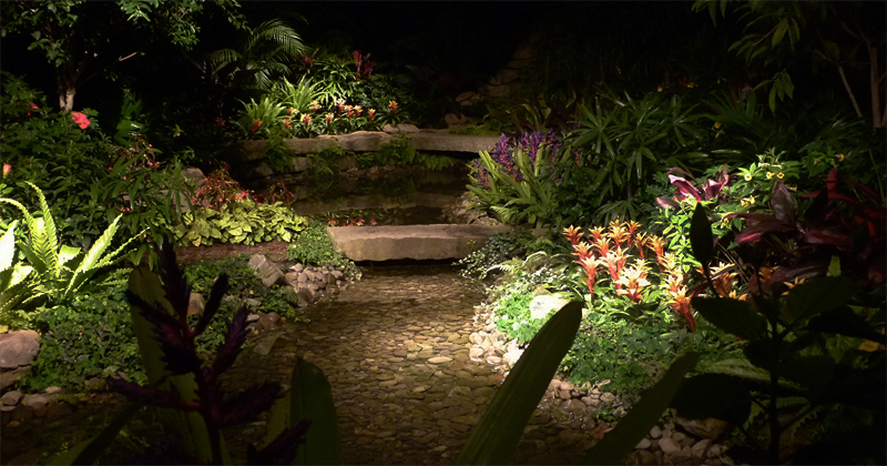 night in the garden