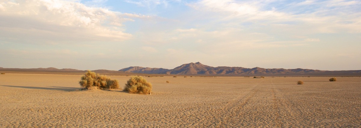 Iraqi Desert (Photo: lithub.com)