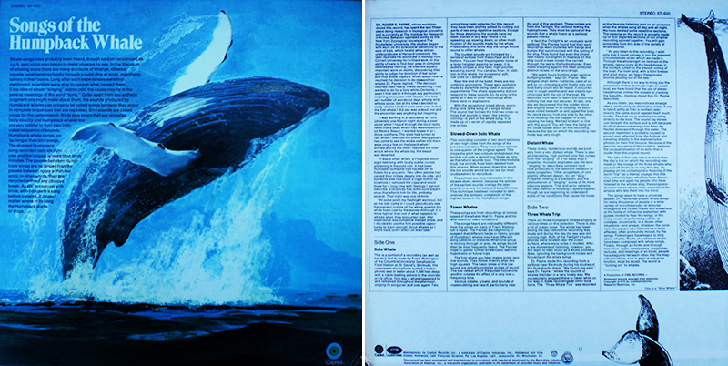 SONG OF THE HUMPBACKED WHALE