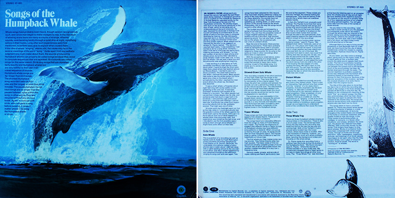 Why Send Whale Song Into Space? ‹ Literary Hub