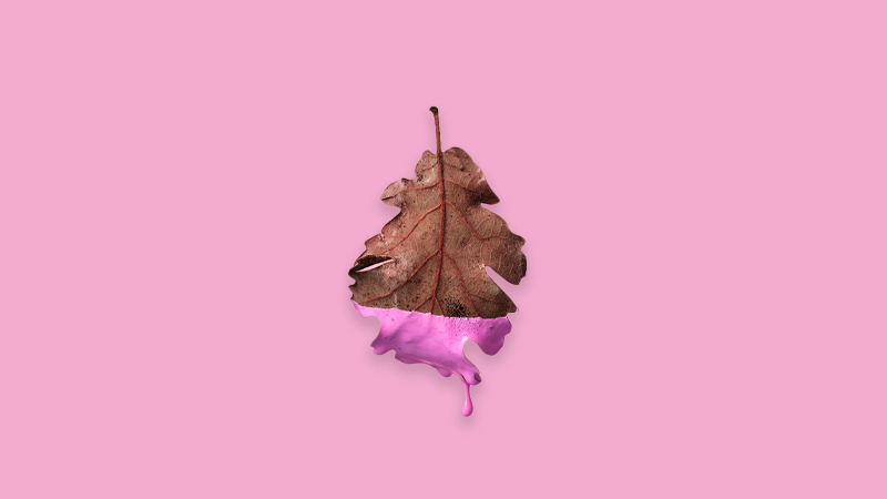 Autumn Has Always Been Poets’ Season