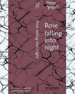 Rose Falling Into Night