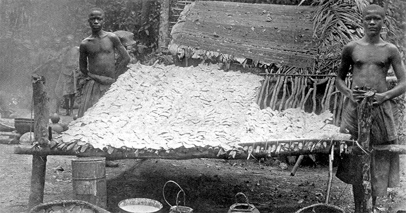 How <em>Heart of Darkness</em> Revealed the Horror of Congo's Rubber Trade