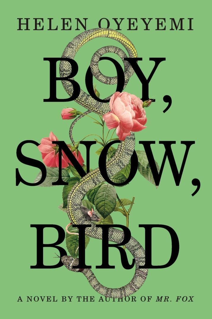 oyeyemi boy snow bird