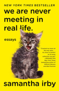 we are never meeting in real life book