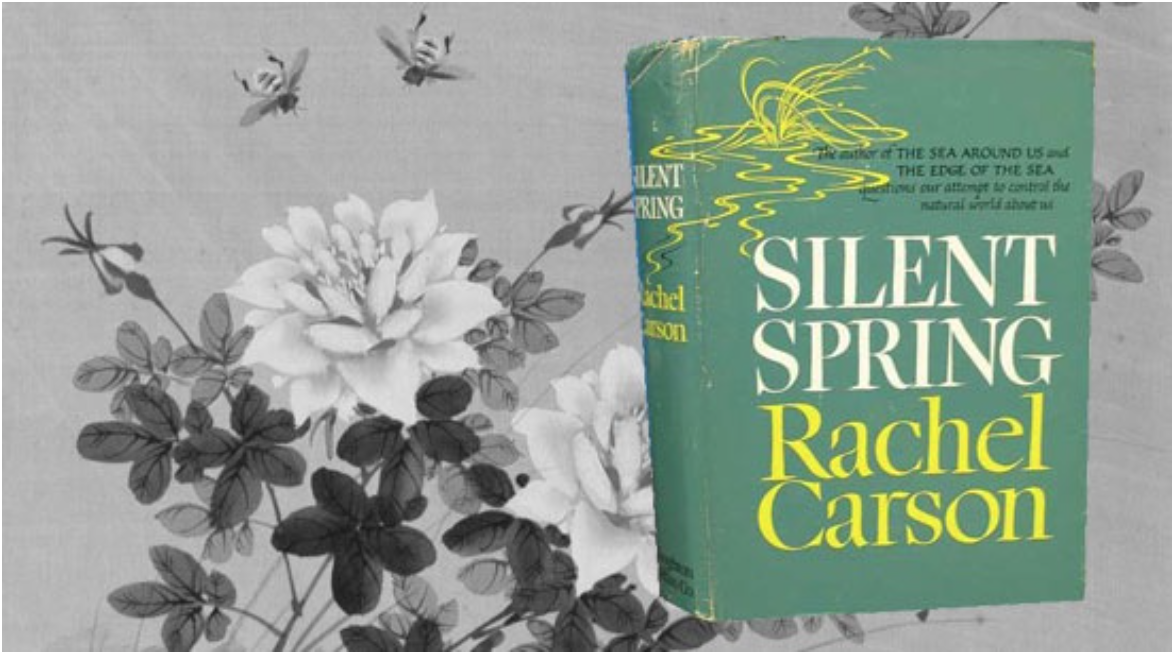 Silent Spring Rachel Carson