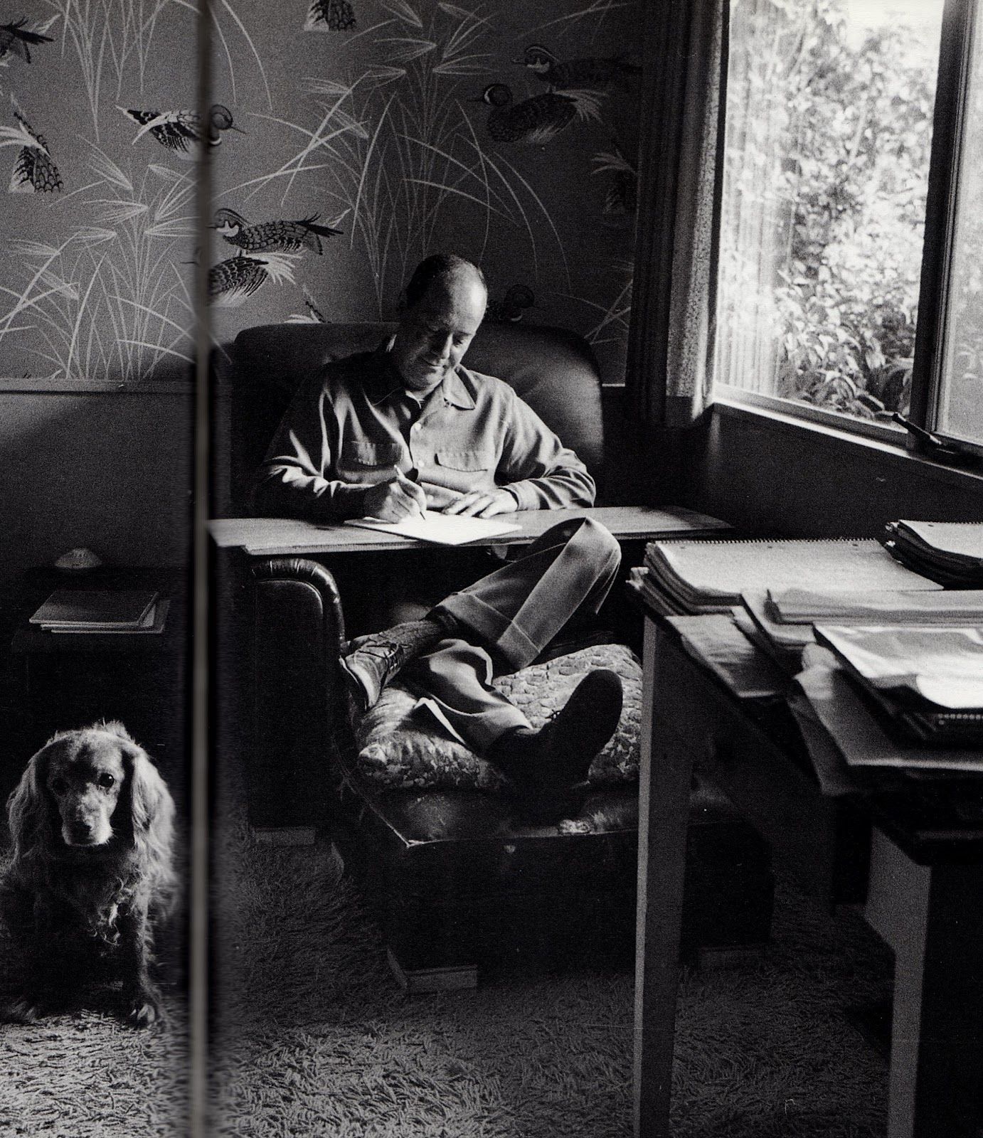 Ross MacDonald, writing with dog