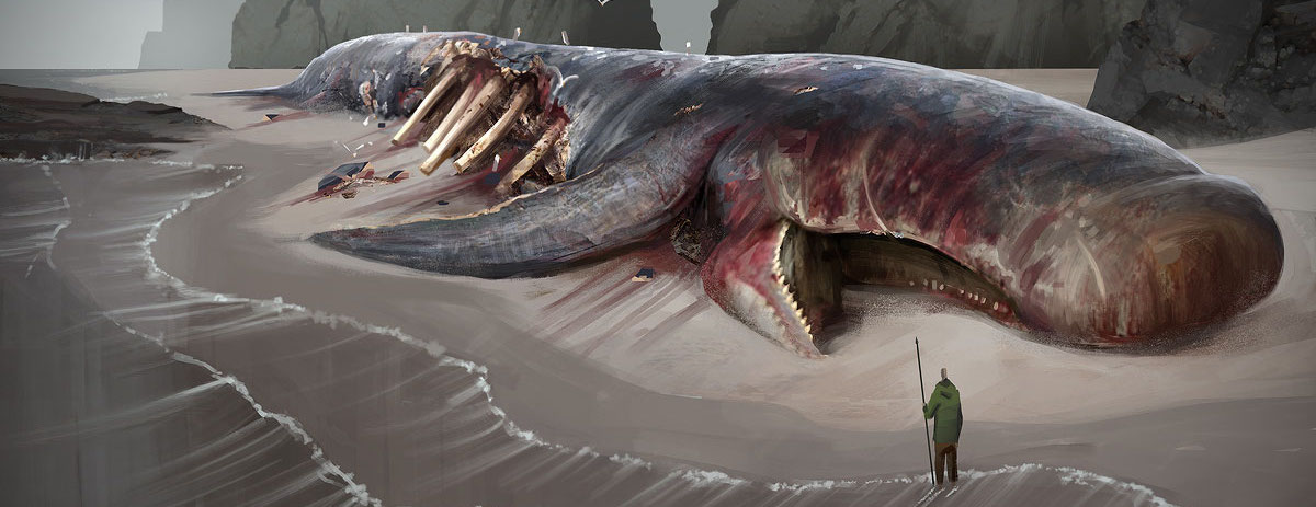 What happens to dead whales?