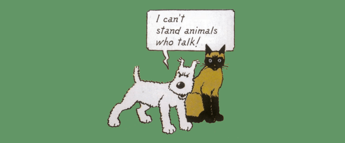 1 talk about animals. Animals talk to you. Can animals talk.