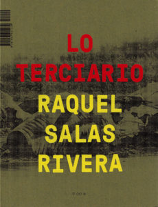 Raquel Salas Rivera, lo terciario / the tertiary