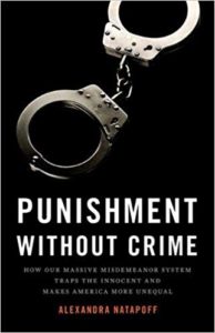 Alexandra Natapoff, Punishment Without Crime