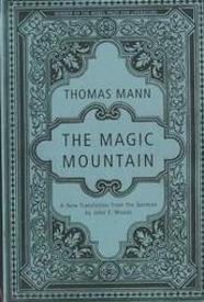 the magic mountain novel