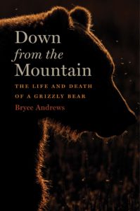 bryce andrews down from the mountain