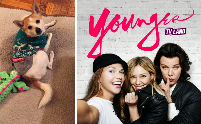 Oliver, dog, Younger, Hilary Duff, Sutton Foster