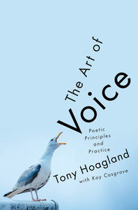 art of the voice cover