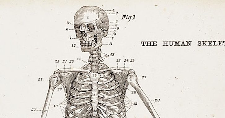 A Brief History of the Creepiness of Human Bones ‹ Literary Hub