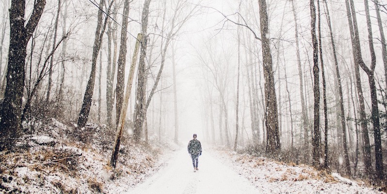 trees walking snow