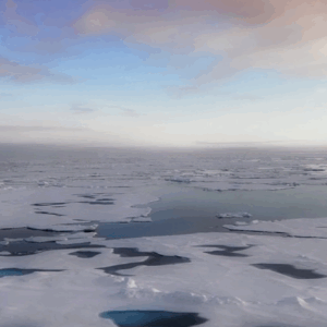 Astonishment in Barry Lopez’s <em>Arctic Dreams</em>