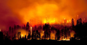wildfire