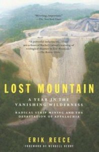 Erik Reece, Lost Mountain