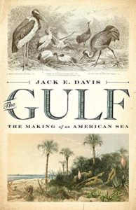 Jack E. Davis, The Gulf: The Making of An American Sea