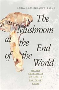 Anna Tsing, The Mushroom at the End of the World