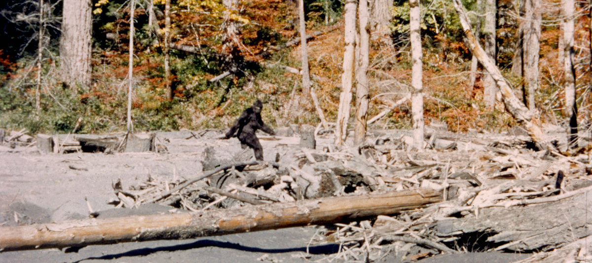 Bigfoot (Chasing Bigfoot: The Quest For Truth)